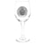 Wine Glass