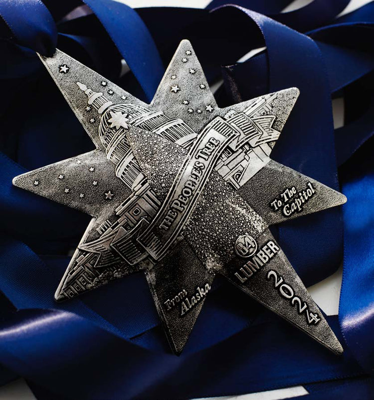 Solstice Star Ornament