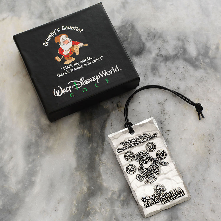 Bag Tag with Leather Cord